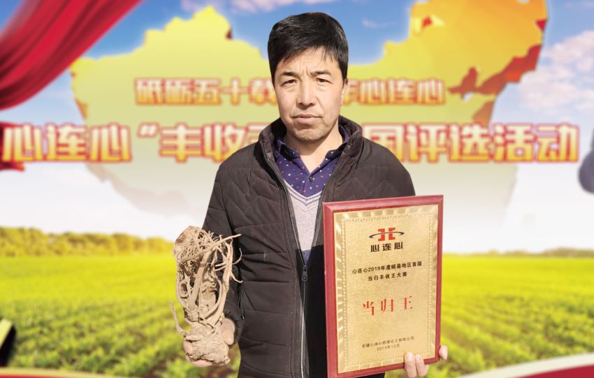 岷縣當(dāng)歸“豐收王”