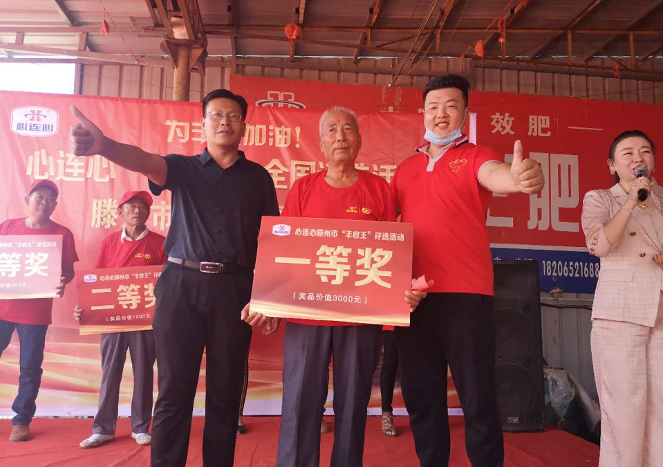 滕州馬鈴薯“豐收王”