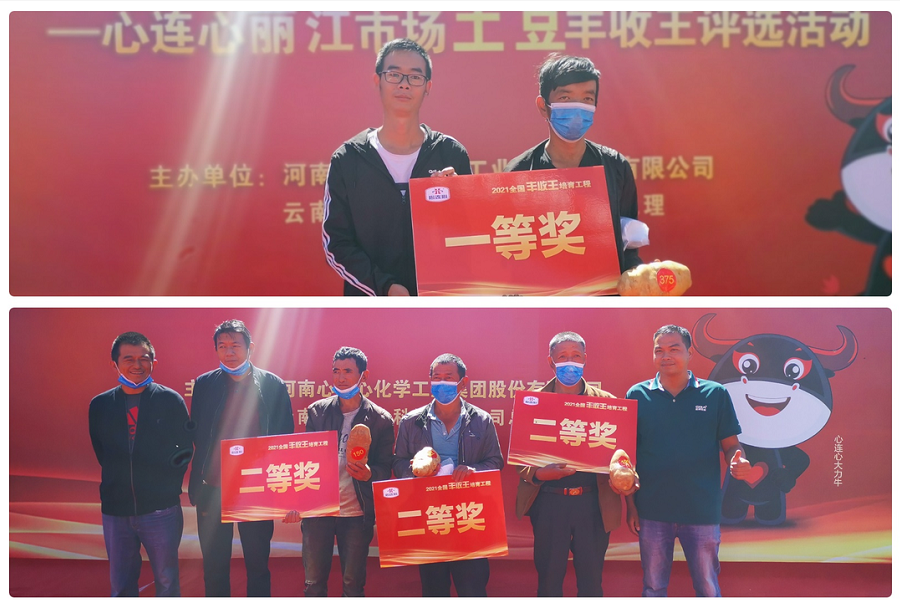 喜迎豐收，薯王爭(zhēng)霸！——心連心麗江市場(chǎng)土豆豐收王評(píng)選活動(dòng)成功舉行